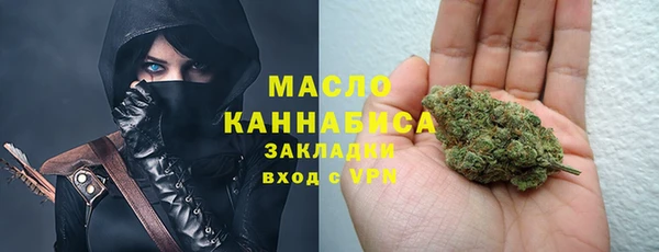 мяу мяу кристалл Гусь-Хрустальный