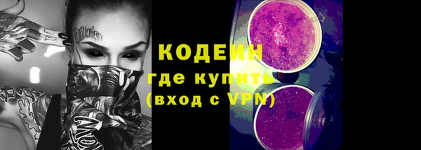 мяу мяу кристалл Гусь-Хрустальный