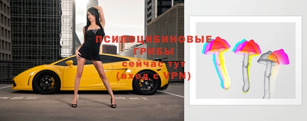 Альфа ПВП Гусиноозёрск