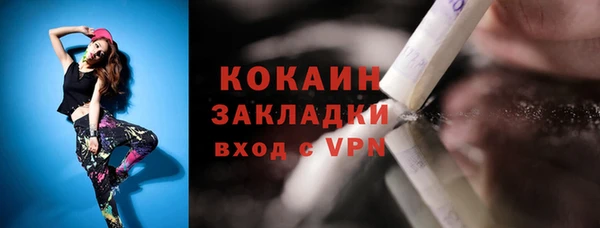 стаф Гусев