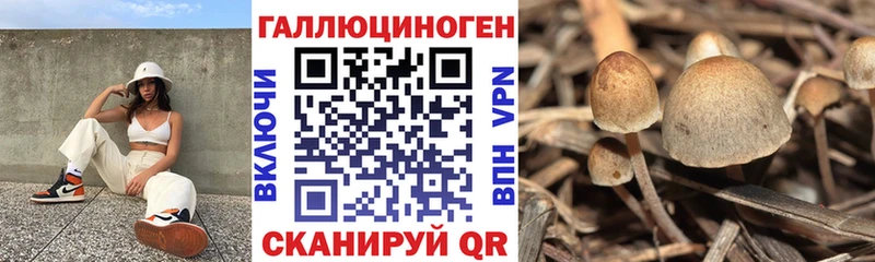 Купить где  Каспийск  Галлюциногенные грибы мухоморы 